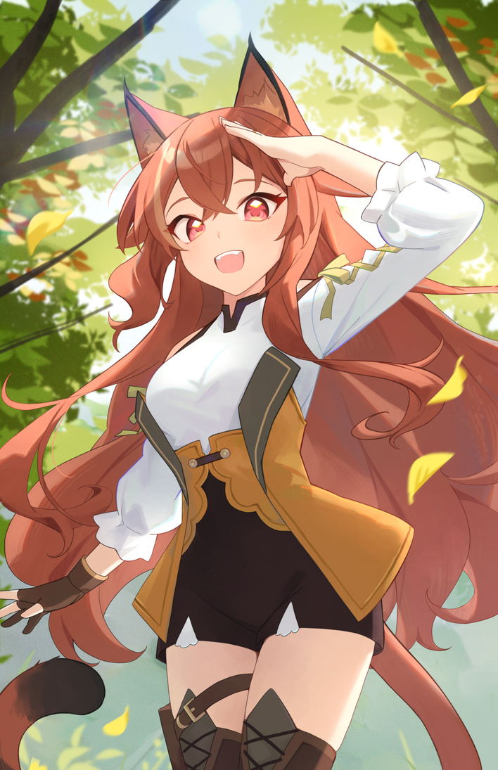 The Adventure Starts!